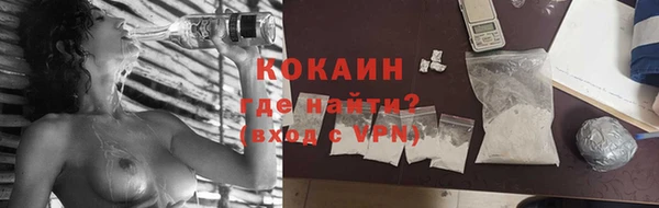 спайс Вяземский