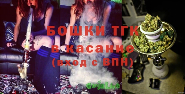 винт Абаза