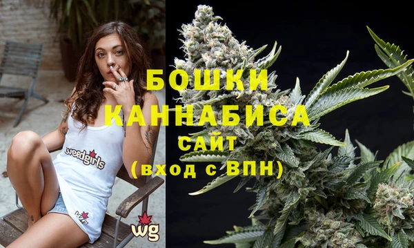 винт Абаза