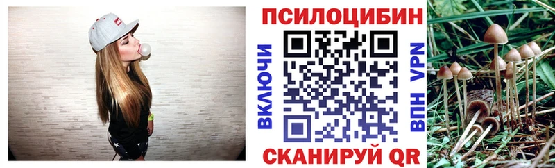 даркнет сайт Таштагол Галлюциногенные грибы мухоморы