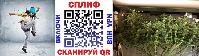 Марихуана гибрид  купить наркотик  Таштагол 